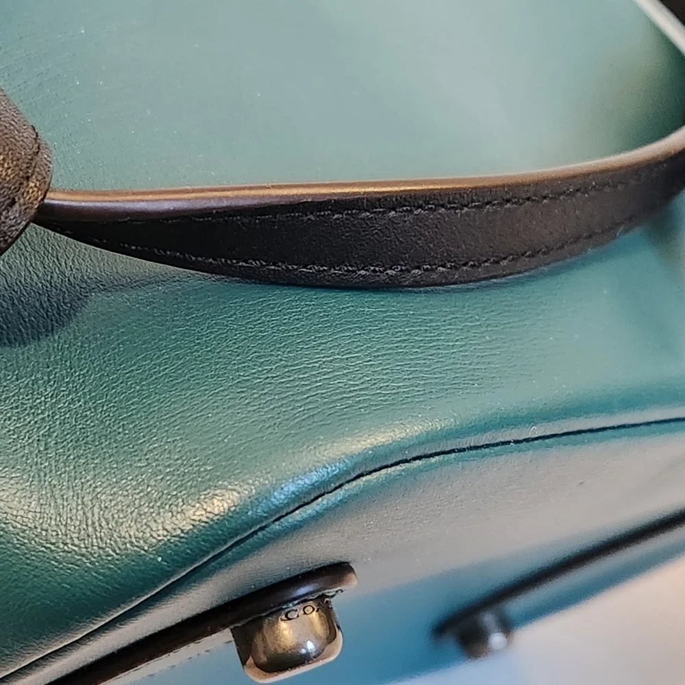Coach Roxie with Snakeskin Quilting, Teal